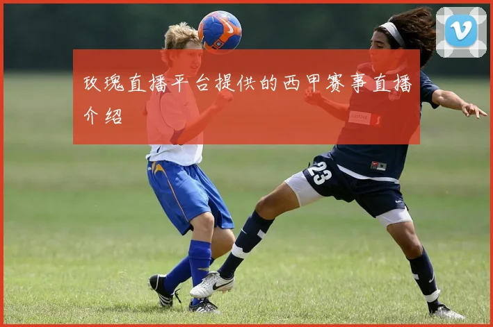 玫瑰直播平台提供的西甲赛事直播介绍