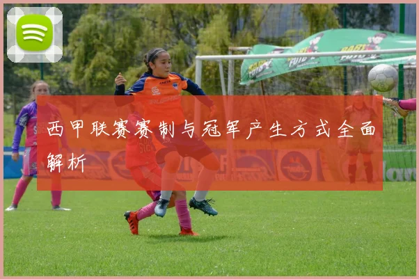西甲联赛赛制与冠军产生方式全面解析